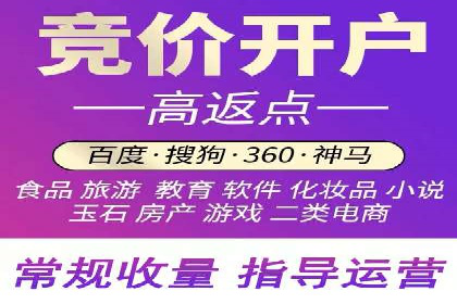 SEM代运营公司案例分析报告